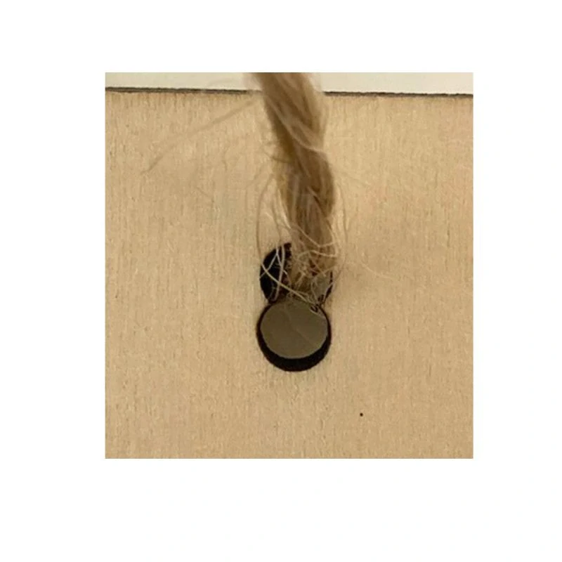 II. jakost - Cedulka Jsem andílek – boloňský psík