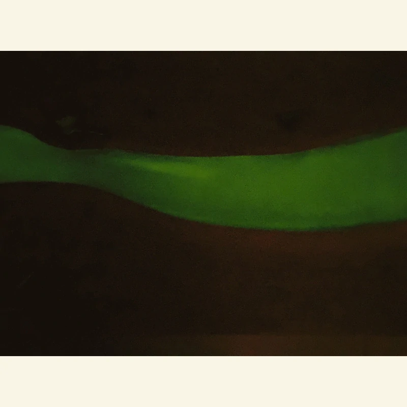 Lumen - tajemná záře lesa