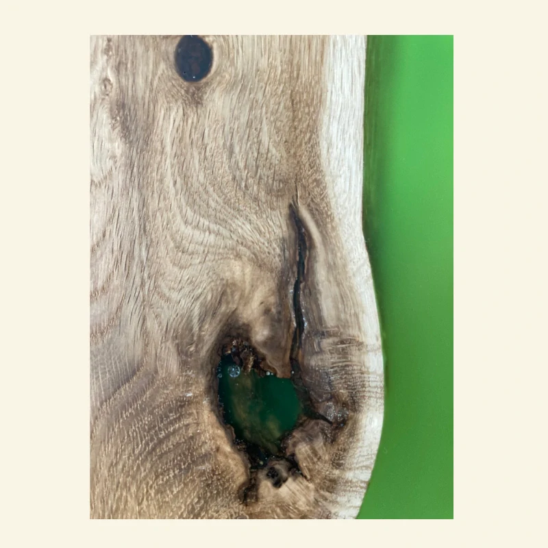 Lumen - tajemná záře lesa