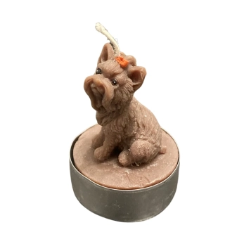 Čajová svíčka - jorkšír