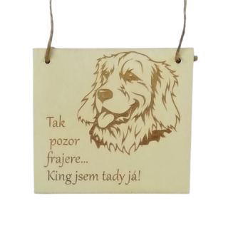 Cedulka - King - labrador