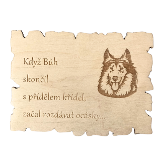 Magnetka - kolie Aisha