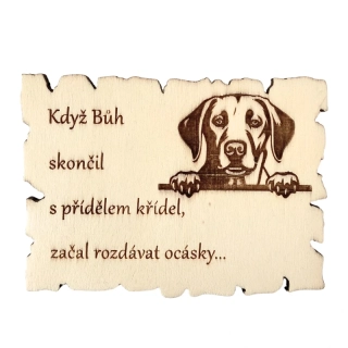 Magnetka - labradorský retrívr