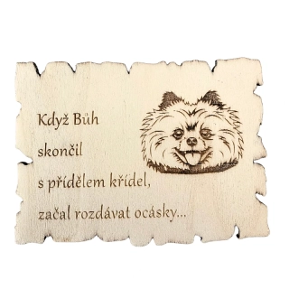 Magnetka - pomeranian