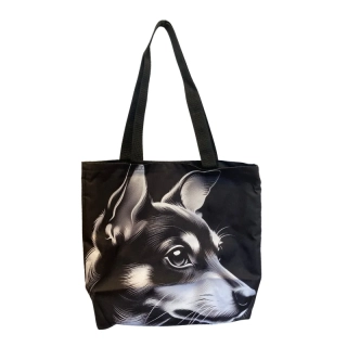 Taška - Pražský krysařík