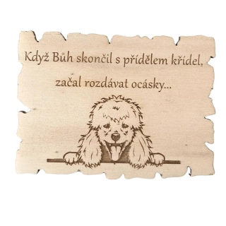 Magnetka - pudl