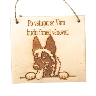 Cedulka - Po vstupu - ovčák