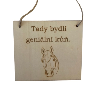 Cedulka - Geniální kůň- kůň
