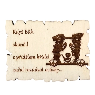 Magnetka - kolie Willow