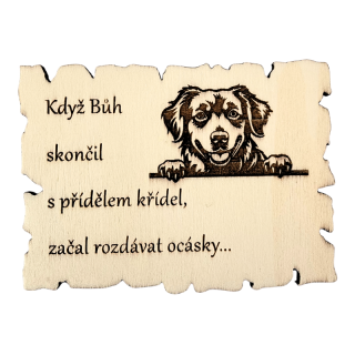 Magnetka - kanadský retrívr