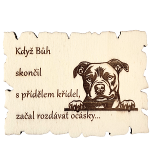 Magnetka - americký staford