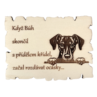 Magnetka - německý pinč