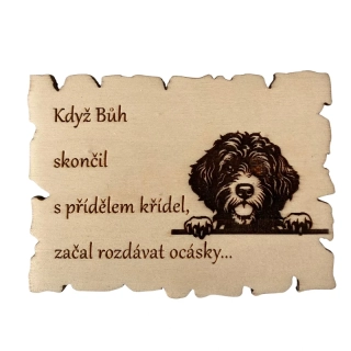 Magnetka - portugalský vodní pes - II.jakost