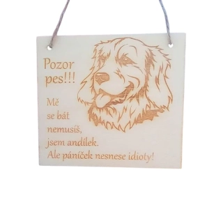 Cedulka Jsem andílek – labrador