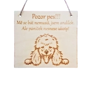 Cedulka Jsem andílek – pudl